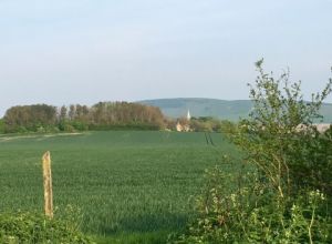 Hotel Sussex Brighton