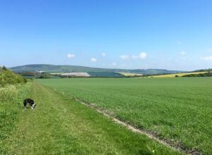 Mini break Sussex England