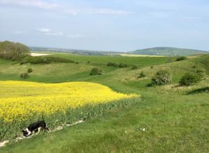 Peaceful retreat Southern England